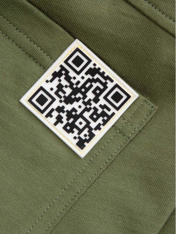 Coccodrillo Coccodrillo Spodnie dresowe WC5120104GBJ Khaki Regular Fit