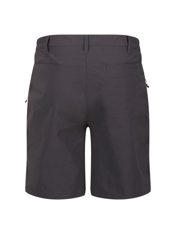 Regatta Regatta Szorty Highton Szary Long Fit