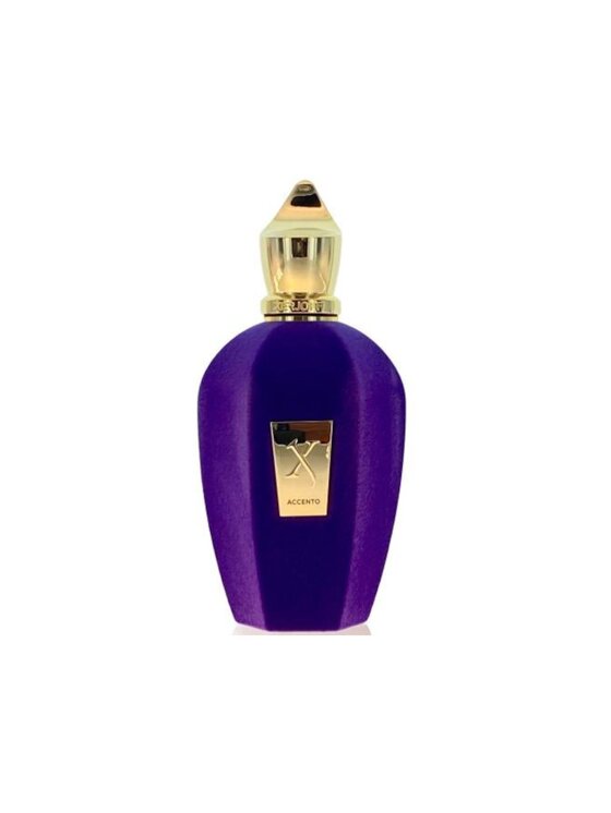 Xerjoff Xerjoff XerJoff Accento 100ml woda perfumowana Unisex Woda perfumowana