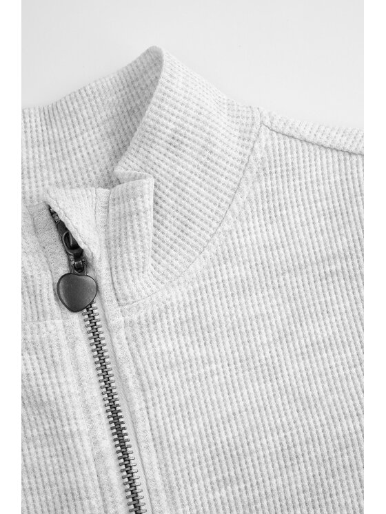 Coccodrillo Coccodrillo Mikina WC6132201SGJ-019 Sivá Regular Fit