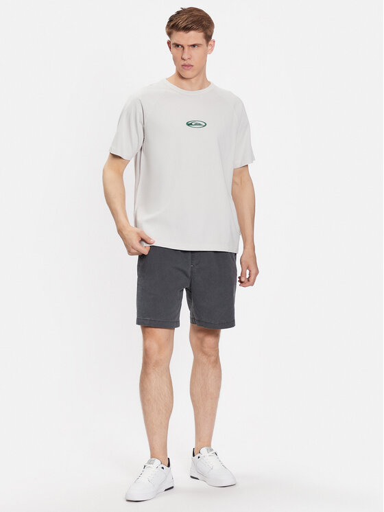 Quiksilver Quiksilver T-Shirt Alpha Dog EQYKT04279 Szary Regular Fit