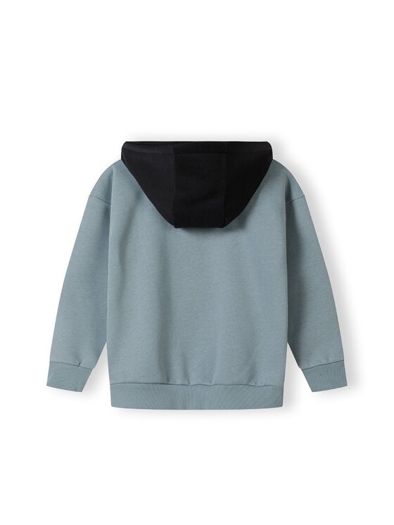 minoti minoti Bluza 19fleece76 Zielony Regular Fit