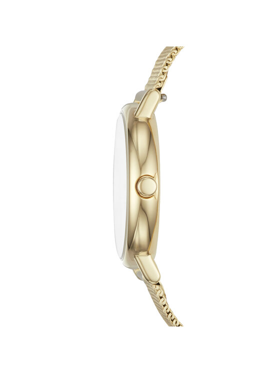Skagen Skagen Zegarek Signatur SKW2693 Złoty