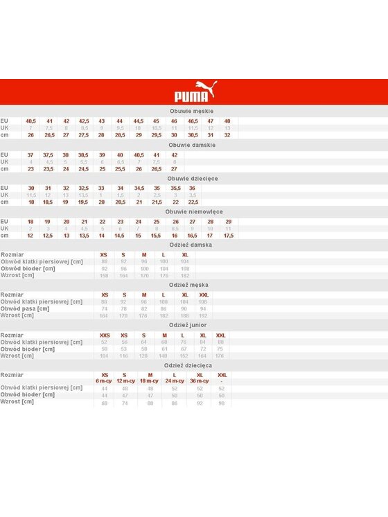 Puma Puma Spodnie dresowe 682989 Szary Regular Fit