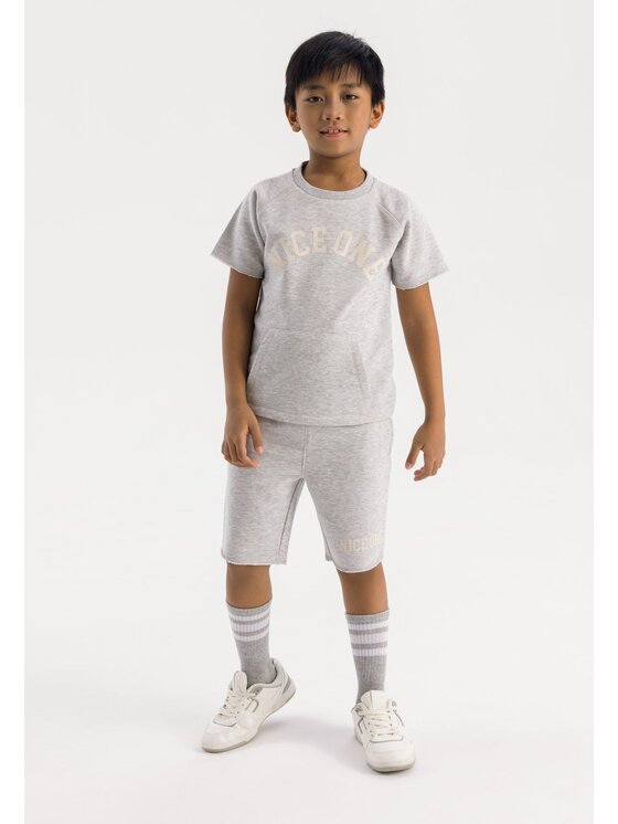 minoti minoti T-Shirt 23fleece35 Szary Regular Fit