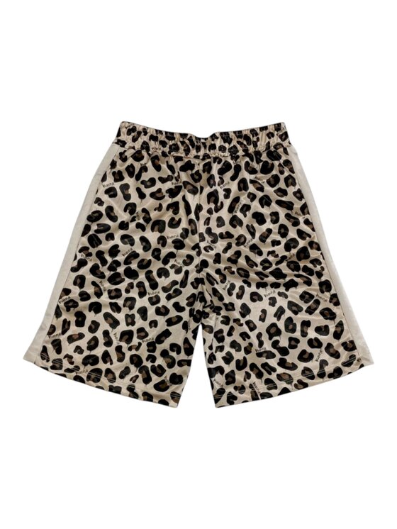 DISCLAIMER DISCLAIMER Bermuda q-bab-69435 Multicolore Regular Fit