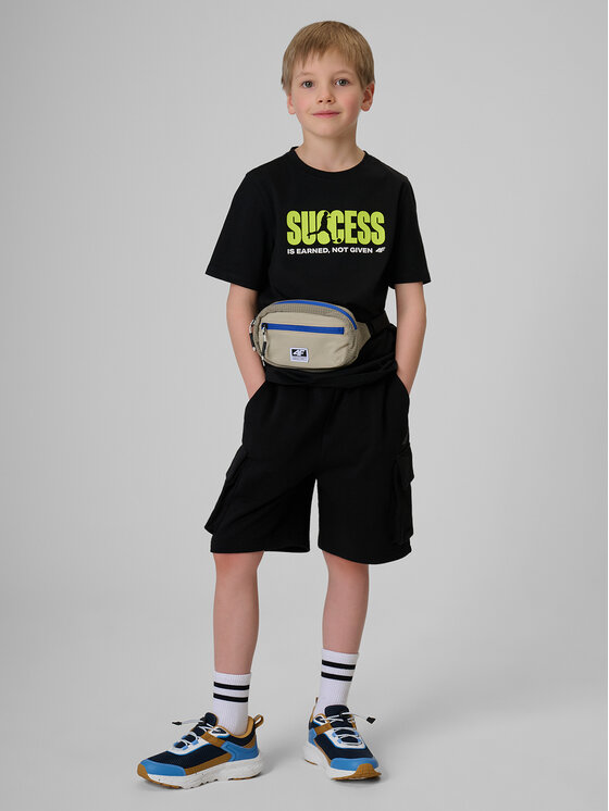 4F 4F T-Shirt PLAY SEASON Czarny Regular Fit
