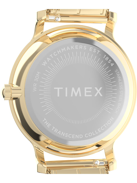 Timex Timex Hodinky TW2Y10300 Zlatá