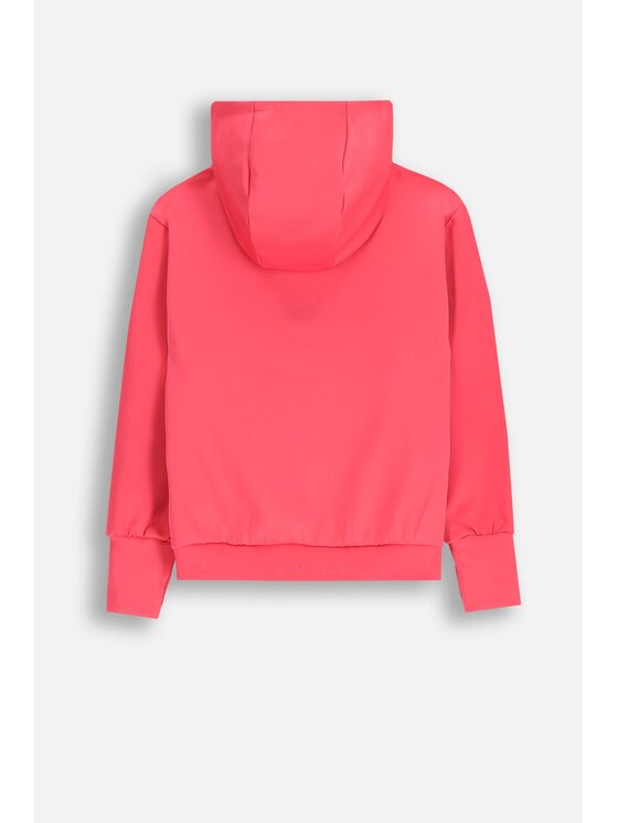 Lemon Explore Lemon Explore Bluza WL5132301ACG-007 Różowy Regular Fit