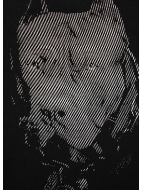 PITBULL PITBULL T-Shirt Koszulka Czarny Regular Fit
