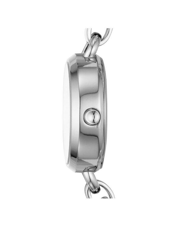 DKNY DKNY Hodinky NY2828 Strieborná