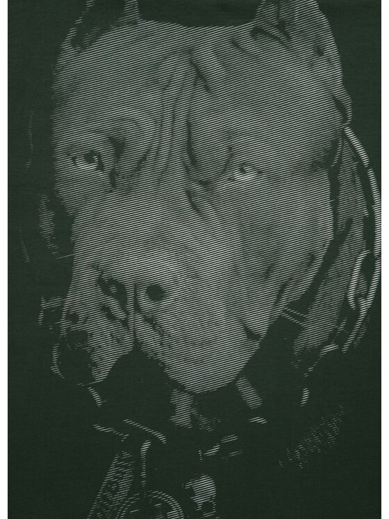 PITBULL PITBULL T-Shirt Koszulka Zielony Regular Fit