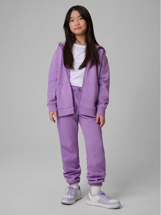4F 4F Spodnie dresowe BASIC+ Fioletowy Regular Fit