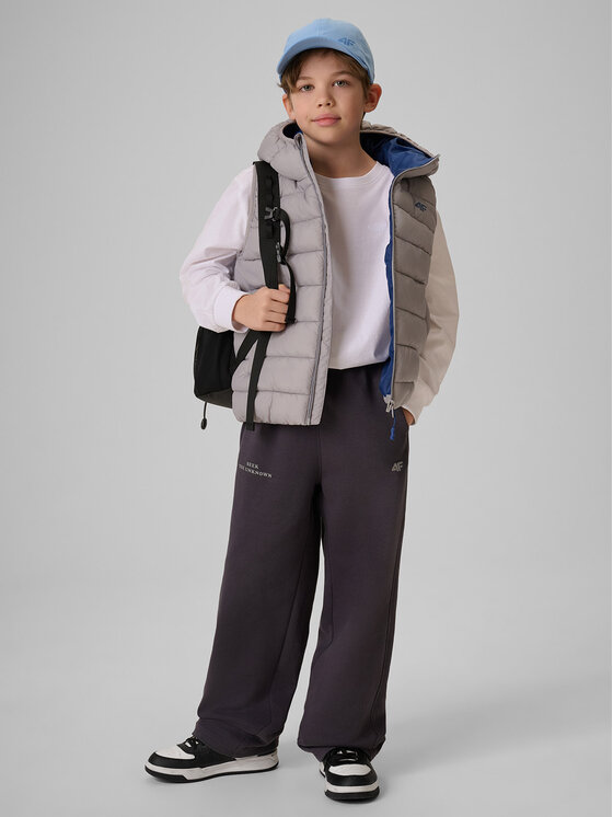 4F 4F Kamizelka OUTERWEAR Szary Regular Fit