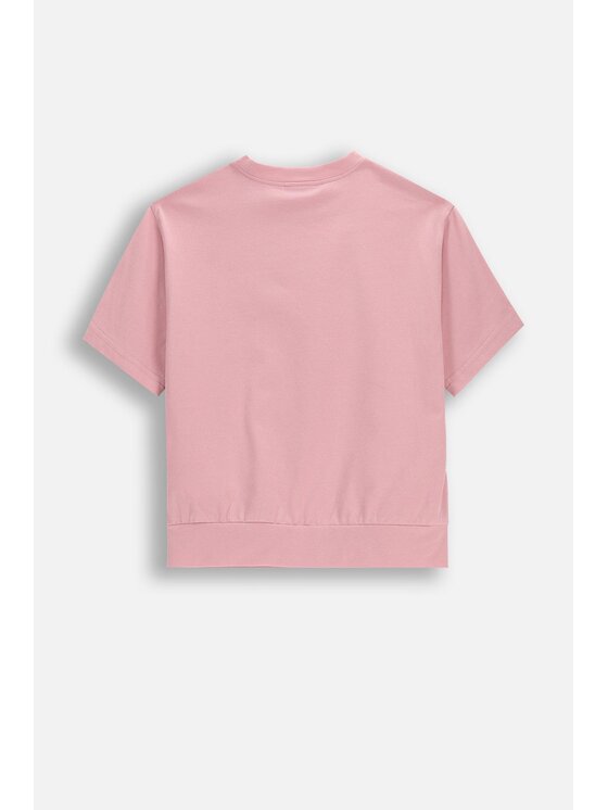 Coccodrillo Coccodrillo T-Shirt WC6143202HGK-007 Różowy Regular Fit
