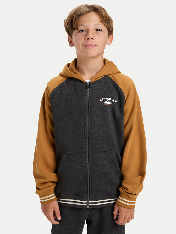Quiksilver Quiksilver Суитшърт Knowledge Area EQBFT03949 Цветен Regular Fit