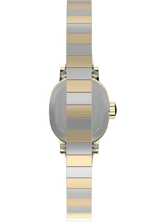 Timex Timex Hodinky TW2Y66900 Stříbrná