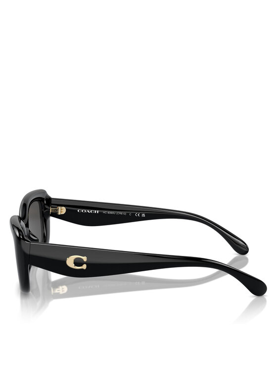 Coach Coach Sonnenbrillen 0HC8390U 500287 Schwarz