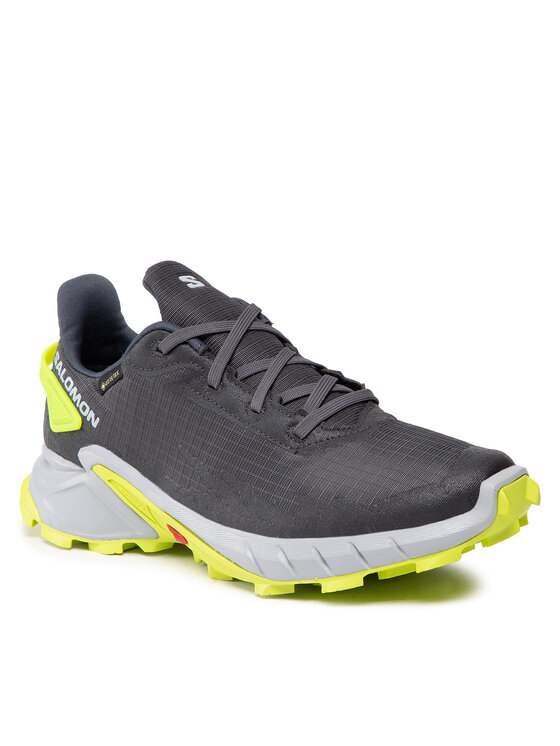 Salomon Salomon Παπούτσια για Τρέξιμο Alphacross 4 Gtx GORE-TEX 470667 26 V0 Γκρι