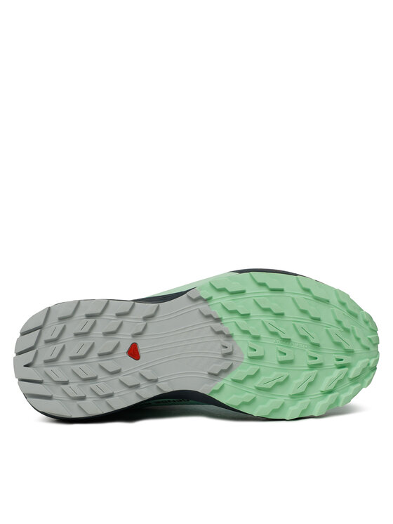 Salomon Salomon Buty do biegania Sense Ride 5 Gore-Tex L47216000 Niebieski