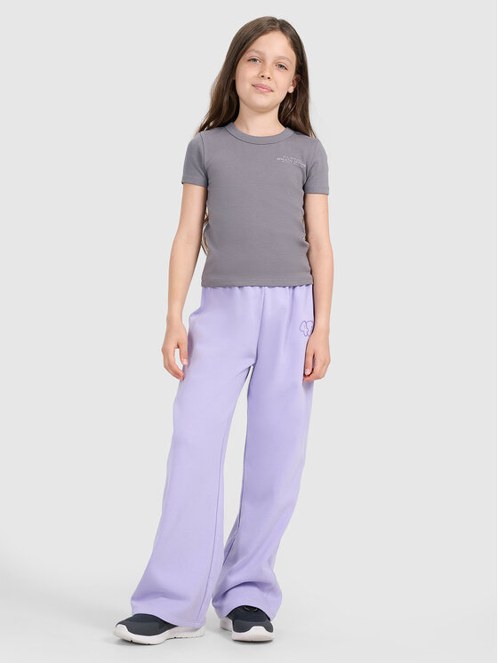4F 4F T-Shirt BASIC+ Szary ciemny Slim Fit