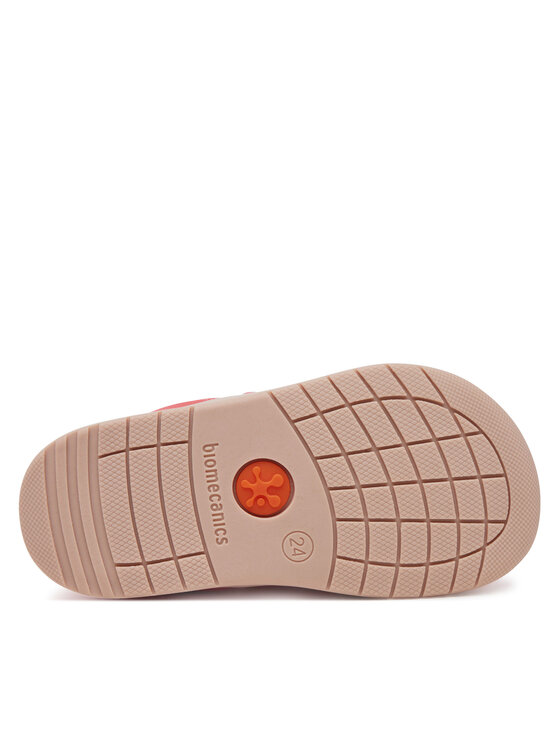 Biomecanics Biomecanics Sussid 252190 M Roosa