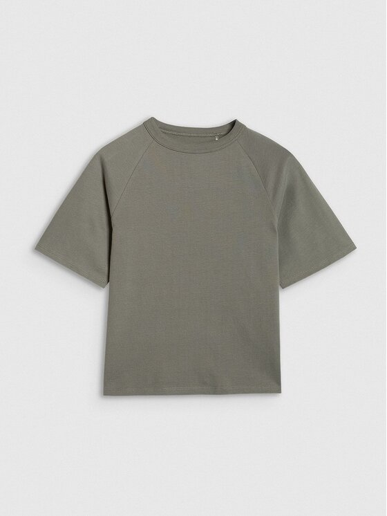 4F 4F T-Shirt 4FJWAW25TTSHM2411-23S Szary Active Fit