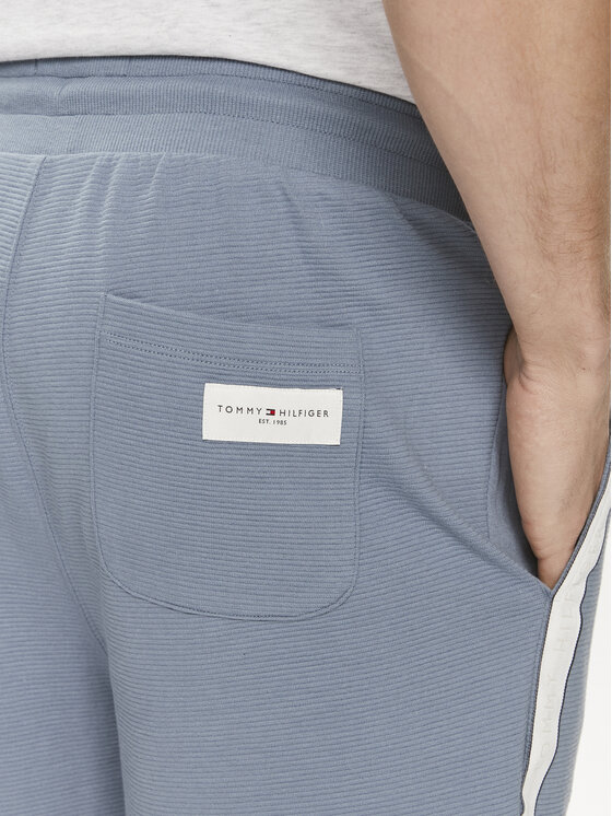 Tommy Hilfiger Tommy Hilfiger Spordišortsid UM0UM03008 Sinine Regular Fit