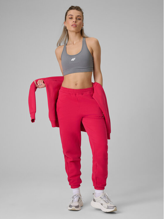 4F 4F Spodnie dresowe WINTER CLUB Czerwony Regular Fit