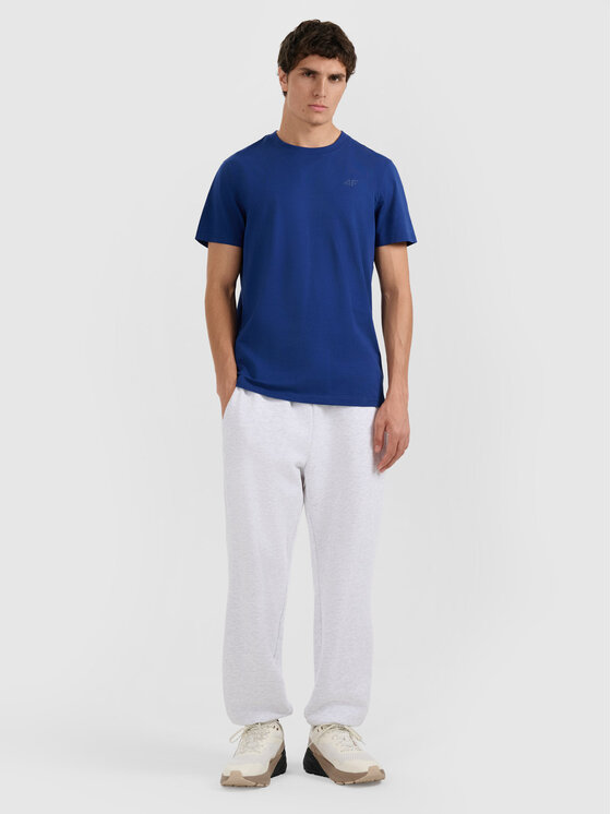 4F 4F T-Shirt NOS Kolorowy Regular Fit