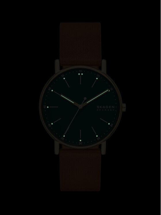 Skagen Skagen Zegarek SKW6927 Brązowy