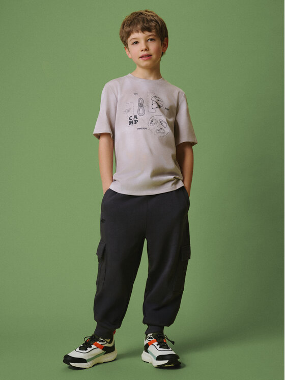 4F 4F T-Shirt ENJOY THE OUTDOORS Kolorowy Regular Fit
