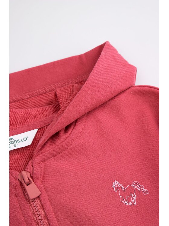 Coccodrillo Coccodrillo Mikina WC6132401GGK-017 Bordó Regular Fit