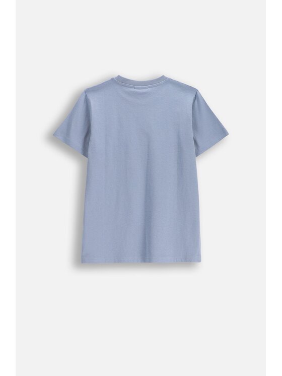 Coccodrillo Coccodrillo T-Shirt WC6143207VBB-014 Niebieski Regular Fit