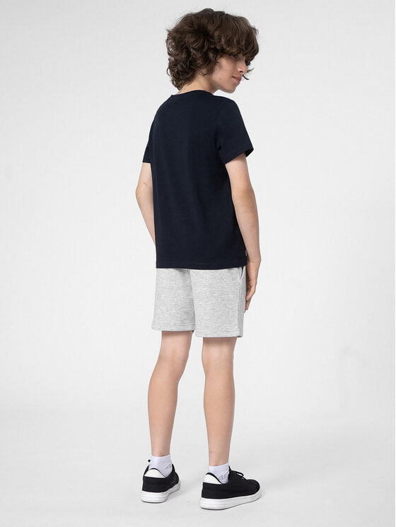 4F 4F Pantaloni scurți sport 4FJSS23TSHOM049 Gri Regular Fit