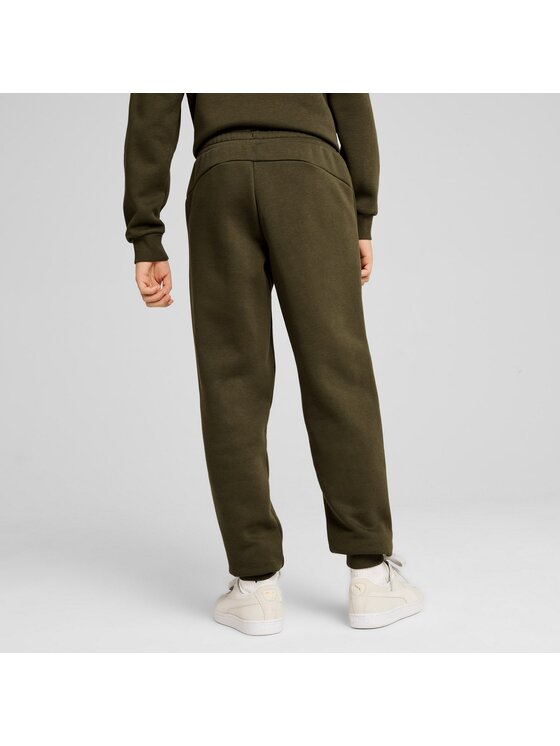 Puma Puma Spodnie dresowe 681860 Zielony Regular Fit