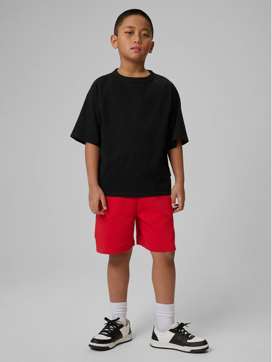 4F 4F Szorty sportowe BASIC+ Czerwony Regular Fit