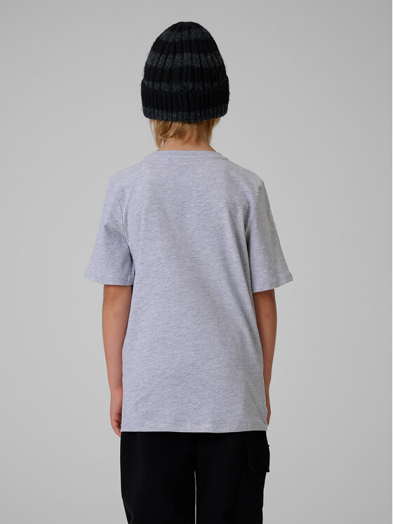 4F 4F T-Shirt BASIC+ Szary Regular Fit