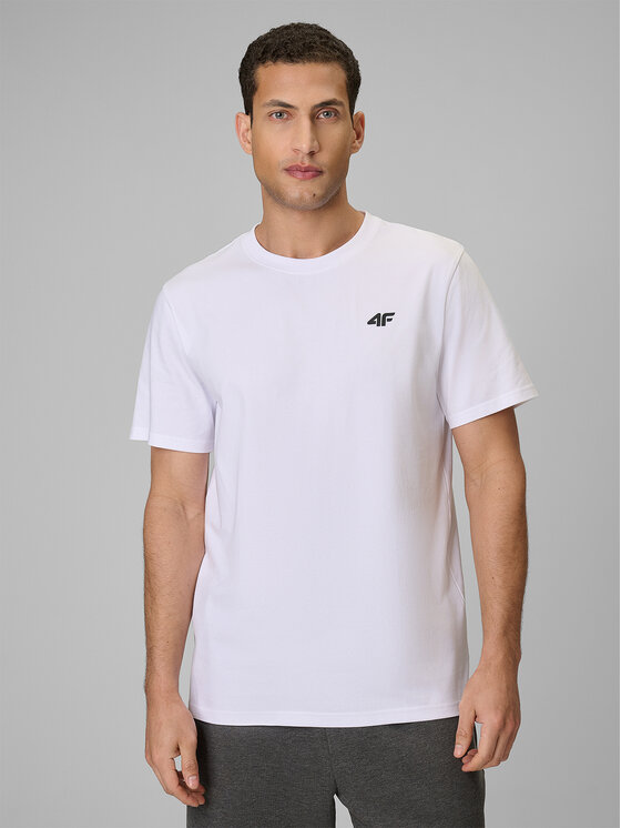 4F 4F T-Shirt ESSENTIAL 2 Kolorowy Regular Fit