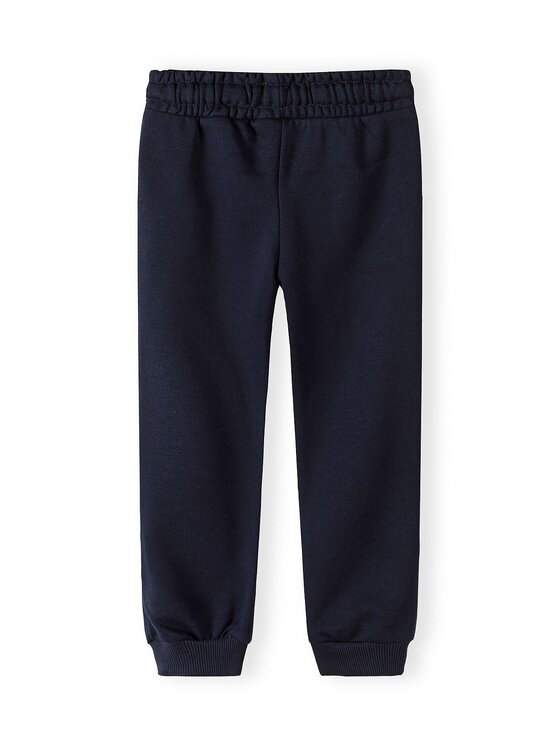 minoti minoti Spodnie dresowe 29FLEECE205 Granatowy Jogger Fit