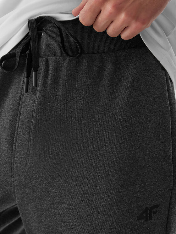 4F 4F Спортивні штани 4FAW23TTROM451 Сірий Regular Fit