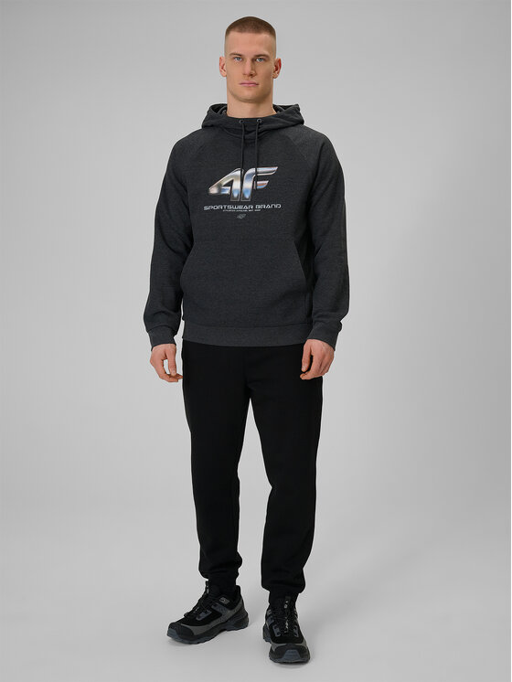 4F 4F Bluza WINTER CODE Szary ciemny Regular Fit