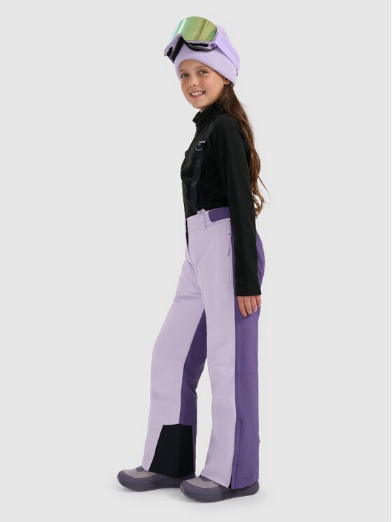 4F 4F Pantaloni da snowboard 4FJRAW25TFTRF1243-50S Viola Regular Fit