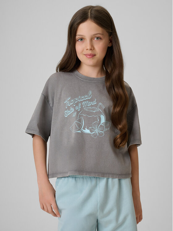 4F 4F T-Shirt SUMMER SPLASH Szary Loose Fit