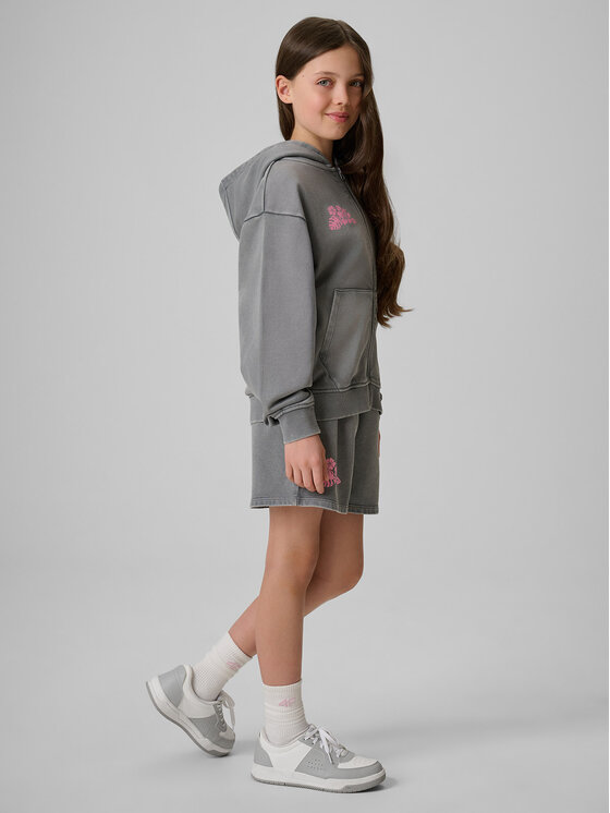 4F 4F Szorty sportowe SUMMER SPLASH Szary Loose Fit
