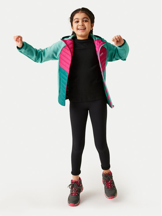 Regatta Regatta Softshelljacke Kielder VIII RKN153 Grün Regular Fit