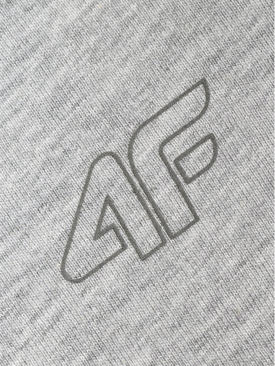 4F 4F T-Shirt BASIC+ Szary Regular Fit