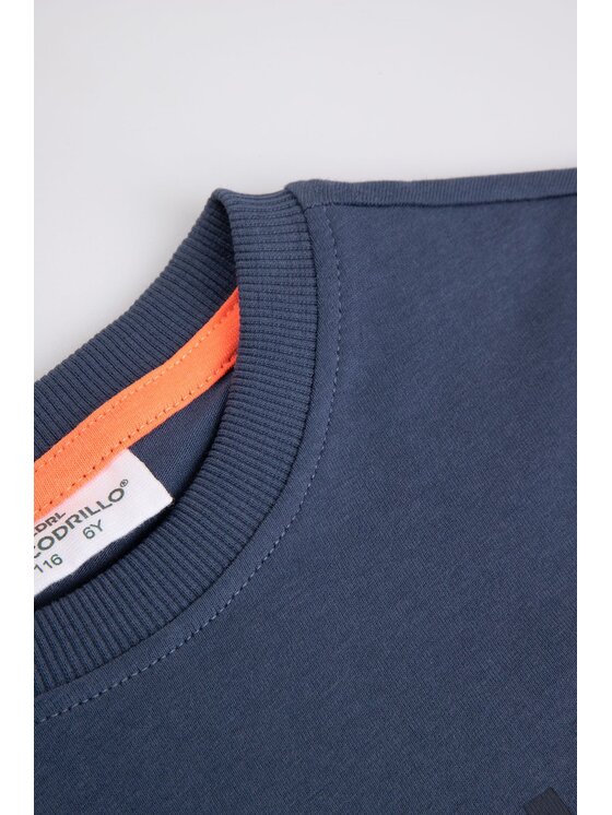 Coccodrillo Coccodrillo T-Shirt WC6143201MBK-014 Niebieski Regular Fit