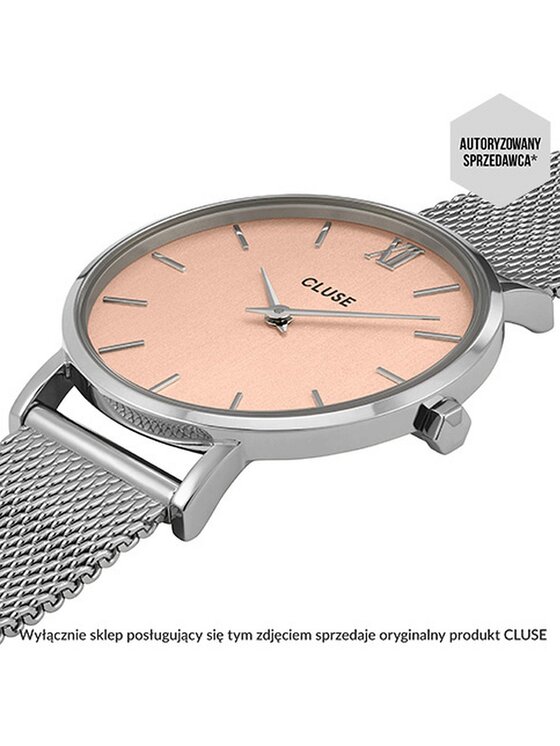 Cluse Cluse Hodinky CW0101203029 Strieborná