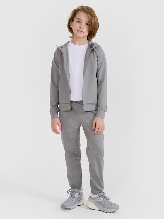 4F 4F Spodnie dresowe 4FJWSS25TFTRM0877-27M Szary Regular Fit